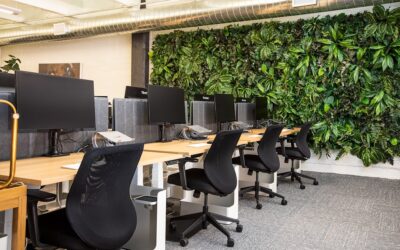 The Ultimate Office Cleaning Checklist For Adelaide CBD And Inner-Suburb Businesses